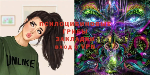 крисы Михайловка