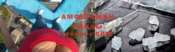 индика Михайловск