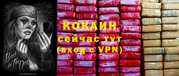 спайс Михайлов
