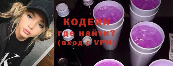 индика Михайловск