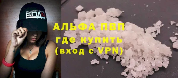 индика Михайловск