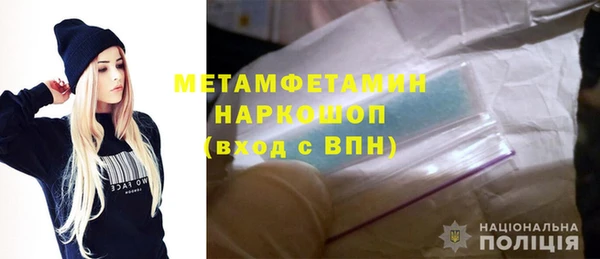 индика Михайловск