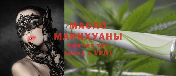 индика Михайловск