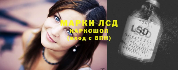 индика Михайловск
