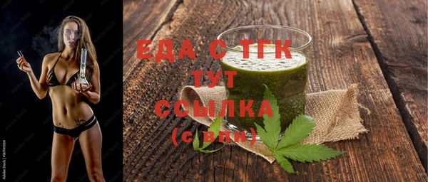 индика Михайловск