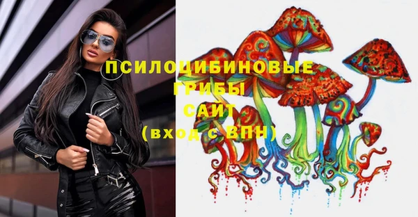 индика Михайловск