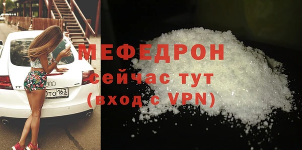 индика Михайловск