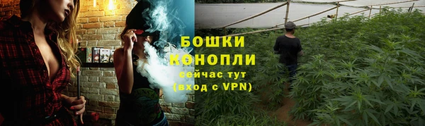 крисы Михайловка