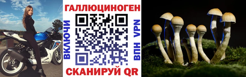 Псилоцибиновые грибы прущие грибы  Купить где  Чебаркуль
